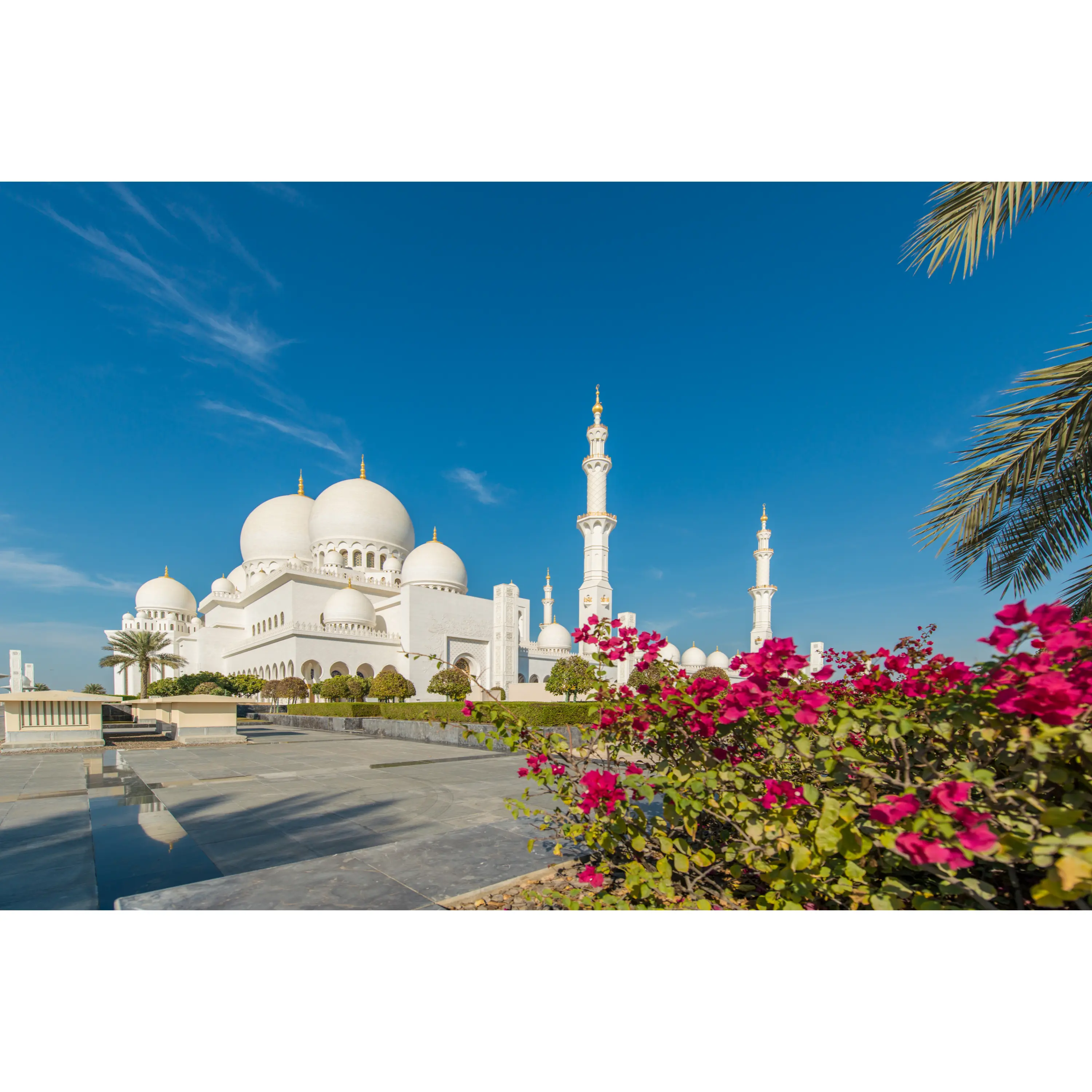 Zayed International Airport