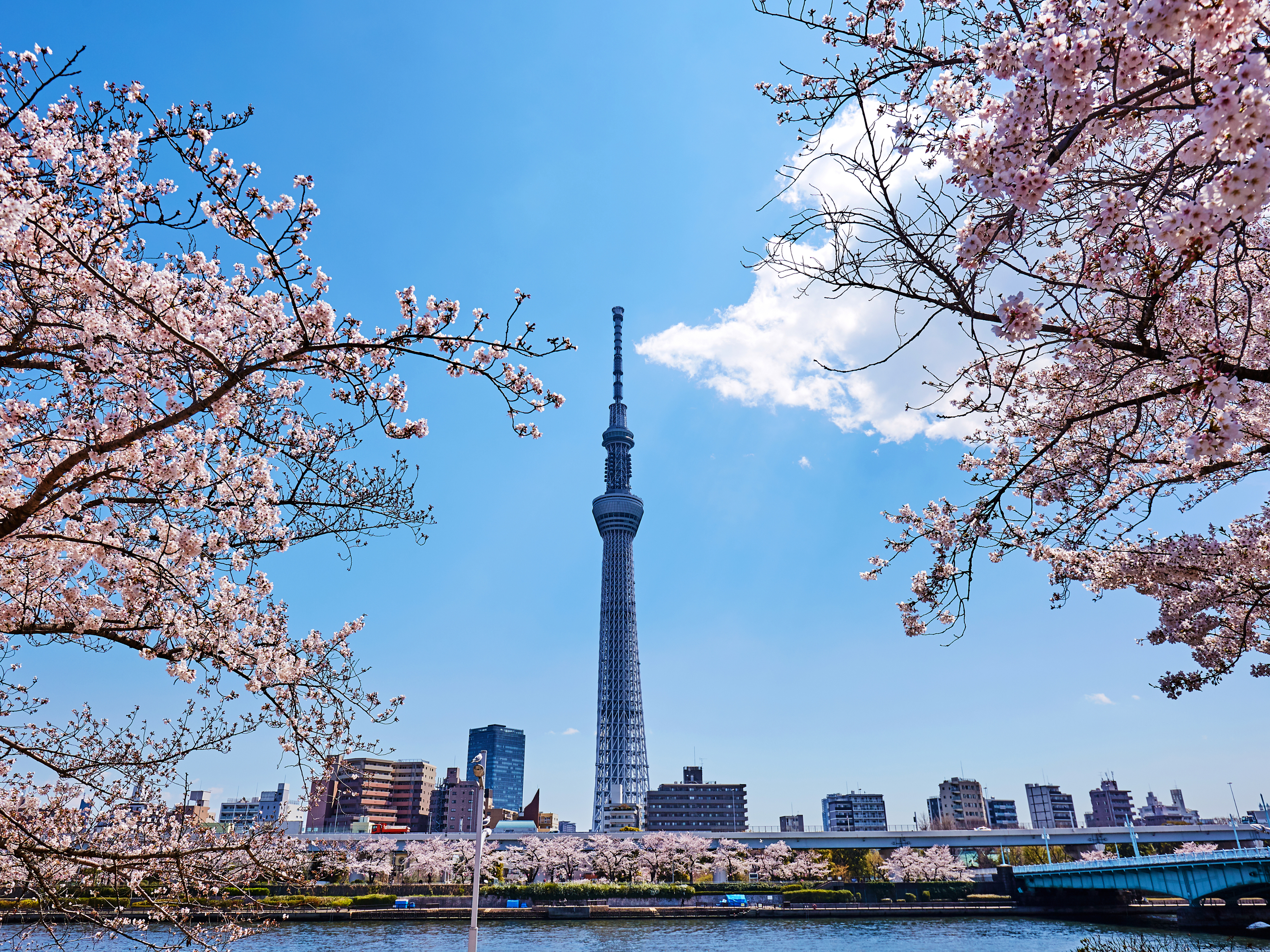 Narita International Airport